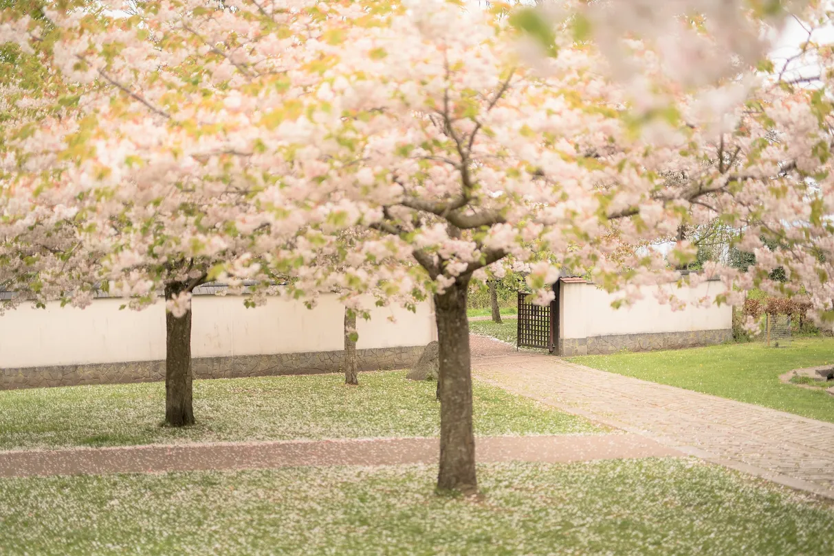 4_Princes Street Gardens