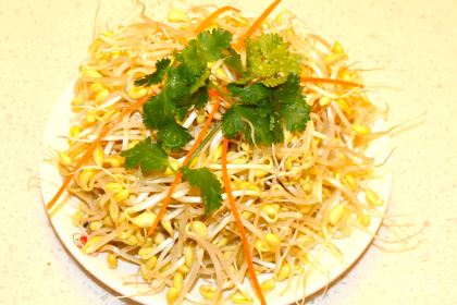 Kou fu yuan Hot Pot (dangxiaolu)