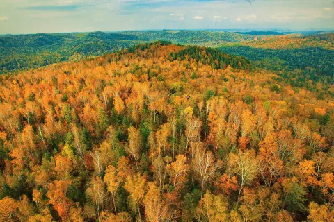 Wuying National Forest Park