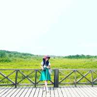ธรรมชาติสีเขียว จะเยียวยาทุกสิ่ง