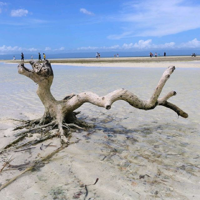 A lengthy sandbar