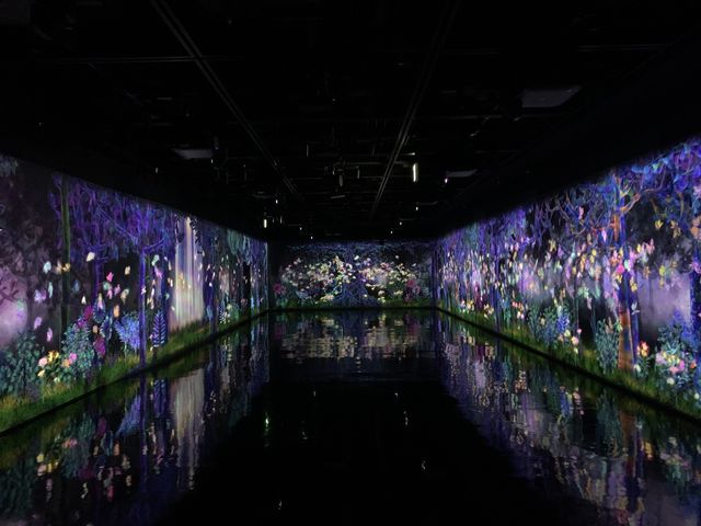 【東京銀座】チームラボの期間限定の展示！