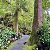 箱根神社の脇参道