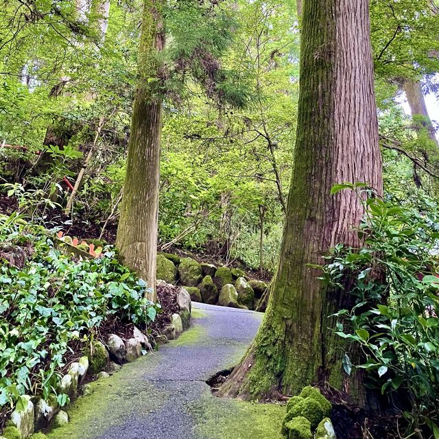 箱根神社の脇参道