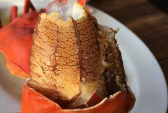 Bandar Djakarta User Photo