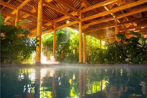 텅충 동산 온천 마을