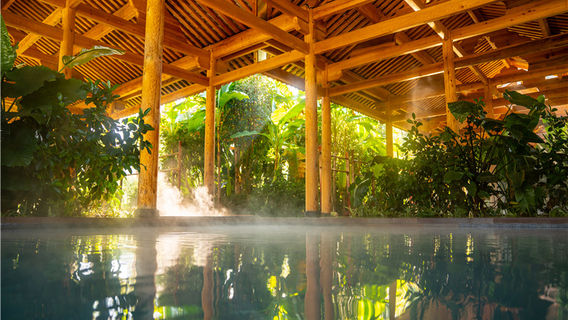 Tengchong Dongshan Hot Spring Village