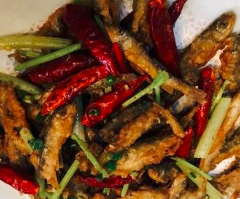 AN JI LAO TU CAI User Photo