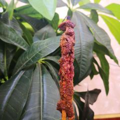 聚福源犛牛肉湯鍋 （總店）張用戶圖片