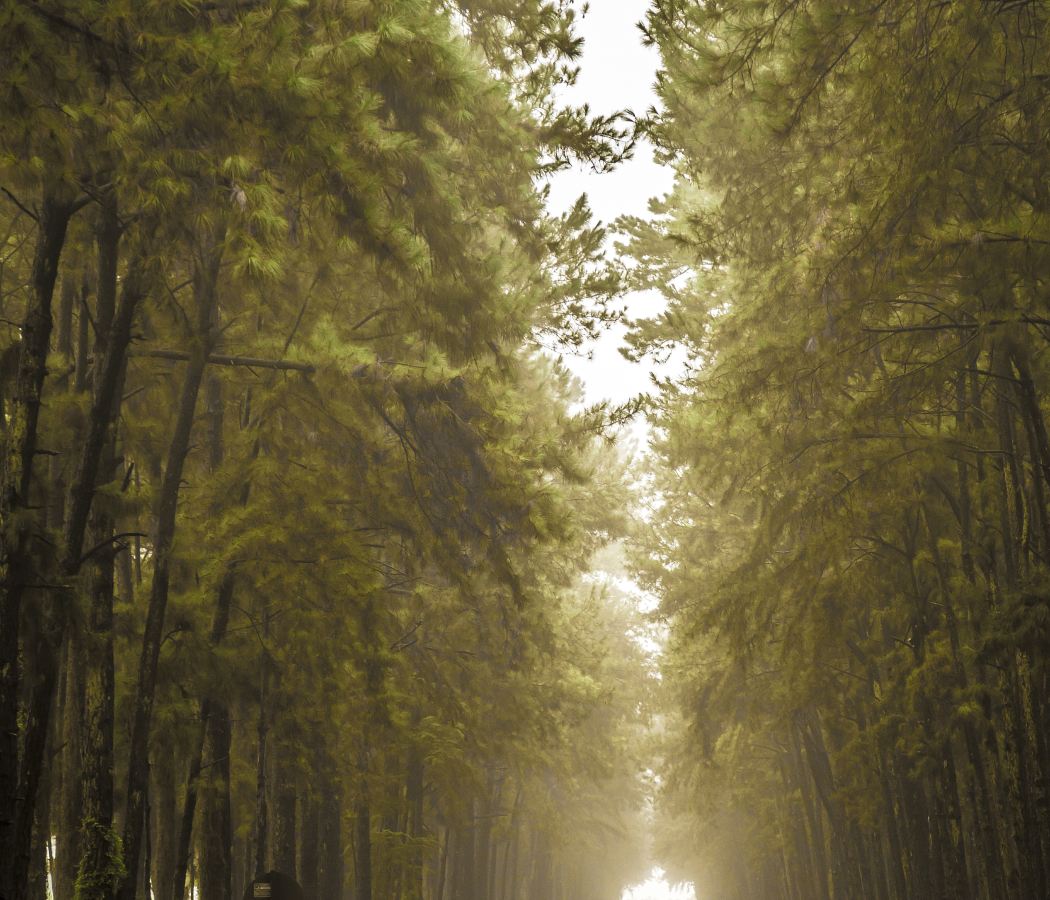 Beishan Park