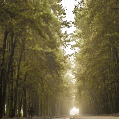 Отели рядом с достопримечательностью «»