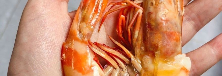 Howies Victoria Street