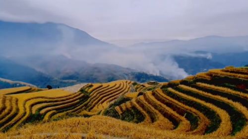 Ping'an Zhuang Terraces