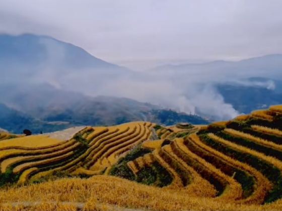 Ping'an Zhuang Terraces