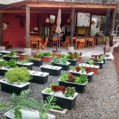 Huerto Cafe User Photo
