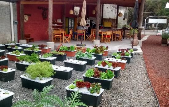 Huerto Cafe