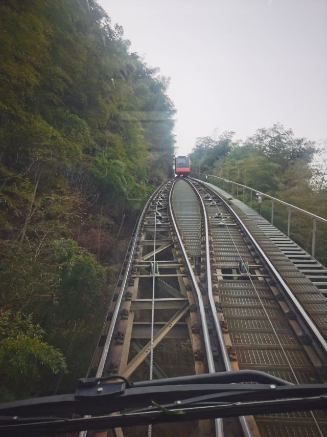 Nanshan Bamboo Sea