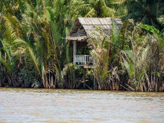 Mekong River Delta