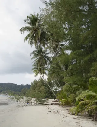 Dakak Park & Beach Resort Bewertungen