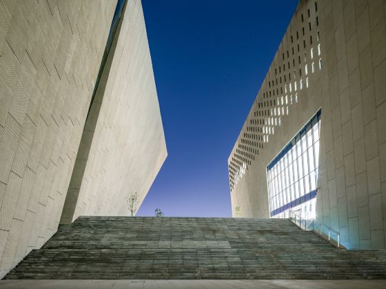 Zhengzhou Art Museum