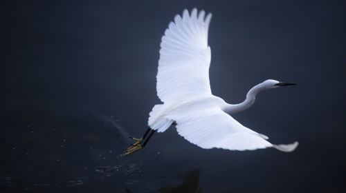 Longqi Wetland Park