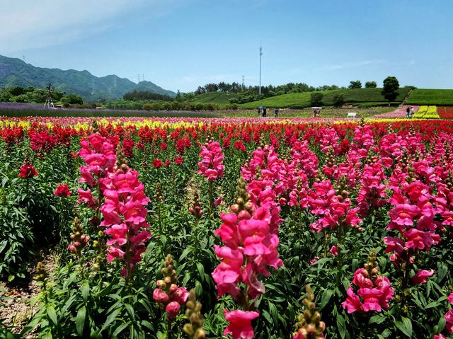 The Flower Town (Huatian Town) in Wuyi