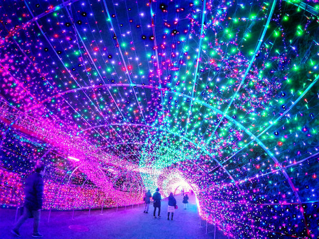 【不能錯過的東京樂園 - 讀賣樂園】 燈飾規模大到好誇張
