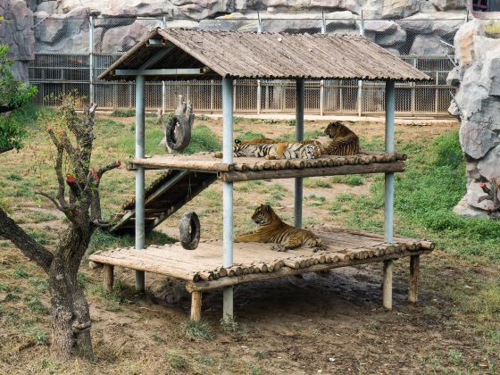滄州動物園