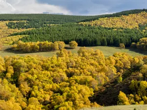 Shengshuiliang Scenic Spot