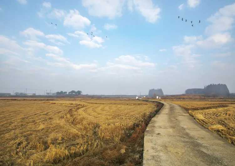 평택 날씨, 평택 기온 가이드, 여행하기 가장 좋은 계절, 기온별 옷차림