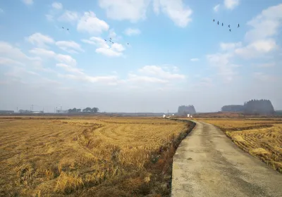 Pyeongtaek