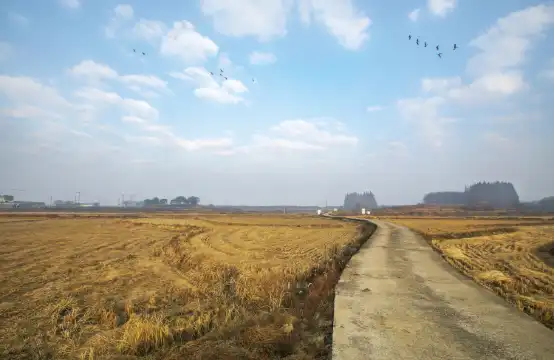 Bogugsa周辺のホテル