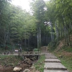 宜興竹海國際會議中心（竹海温泉）·中餐廳張用戶圖片
