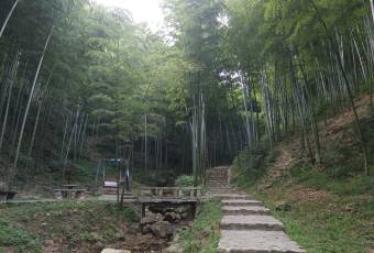 宜兴竹海国际会议中心(竹海温泉)·中餐厅 user photo