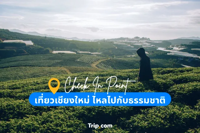 เชียงใหม่