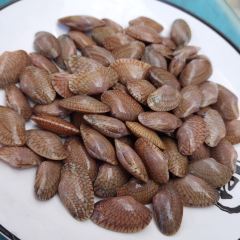 福湾渔村海鲜·糟粕醋·椰子鸡(嘉佩乐万丽店) User Photo