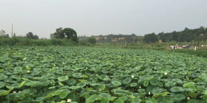 霸渭文化生態區