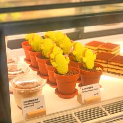 AMINO AMIGO User Photo