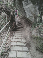 Wenli Slope Scenic Area (Yangnai Mountain Ancient Path Scenic Spot)