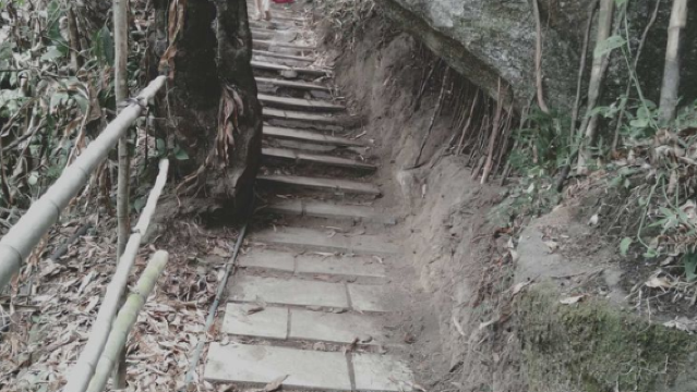 Wenli Slope Scenic Area (Yangnai Mountain Ancient Path Scenic Spot)