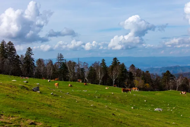 Отели рядом со станцией 