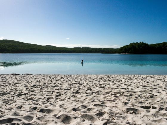 Lake Mckenzie (Boorangoora)