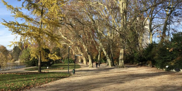 Micaud Park