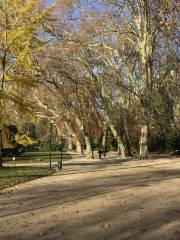 Parc Micaud