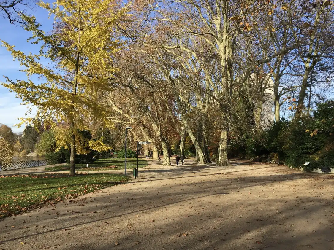 Hotels near Micaud Park