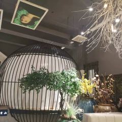 云南人家(大屯店) User Photo