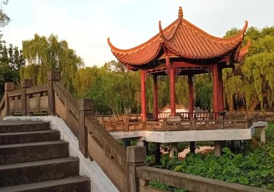 Mianzhu People's Park