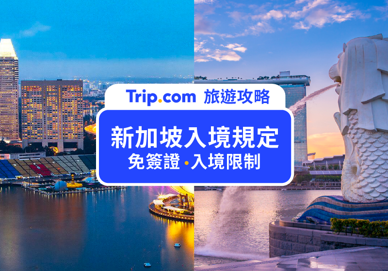 2026新加坡入境攻略懶人包｜SG Arrival Card申請×免簽30天×禁飛指令新制全解析