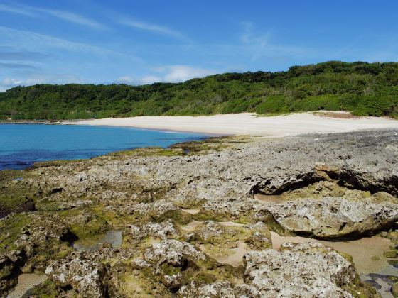 Banana Bay Ecological Reserve