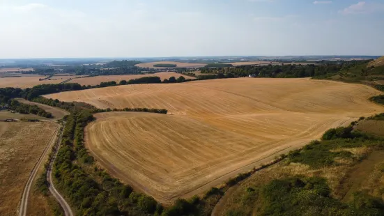 Dunstable Downs